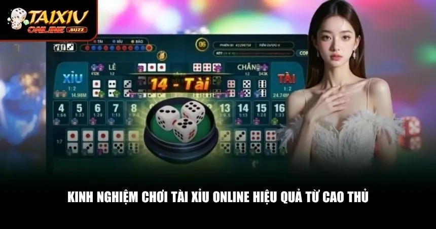 Những bí quyết chơi tài xỉu online được chia sẻ từ kinh nghiệm thực chiến
